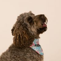 Studio Portraiture
