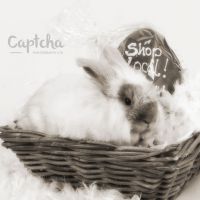 Captcha Photography